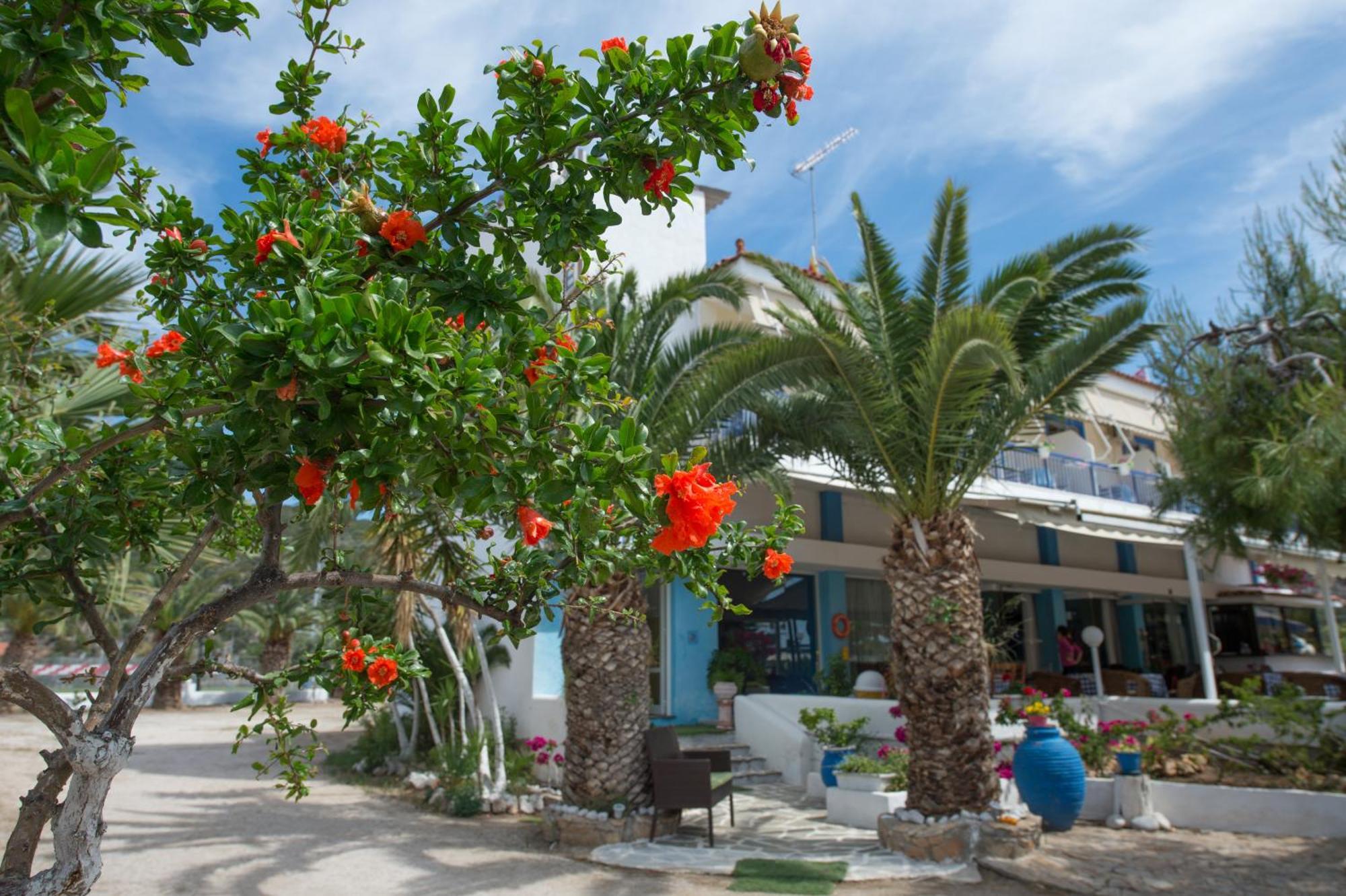 Hotel Avra Nea Epidhavros Exteriör bild